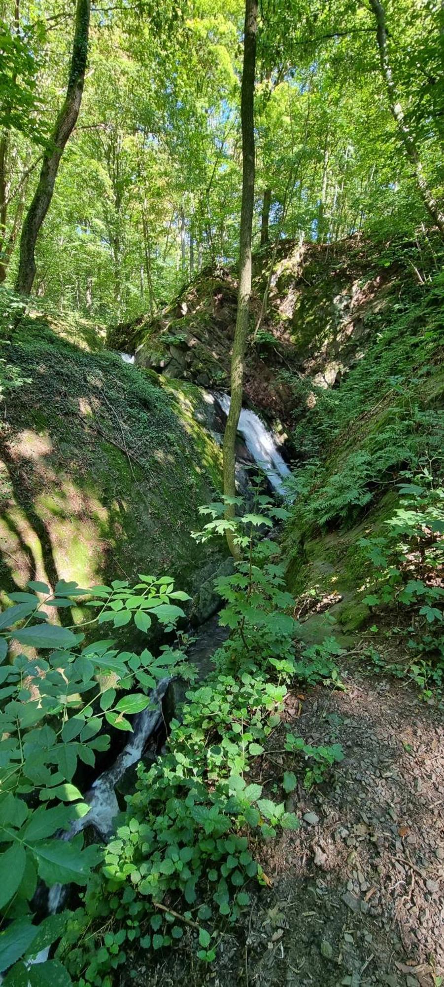Fewo Zur Alten Tischlerei Herzberg am Harz Bagian luar foto