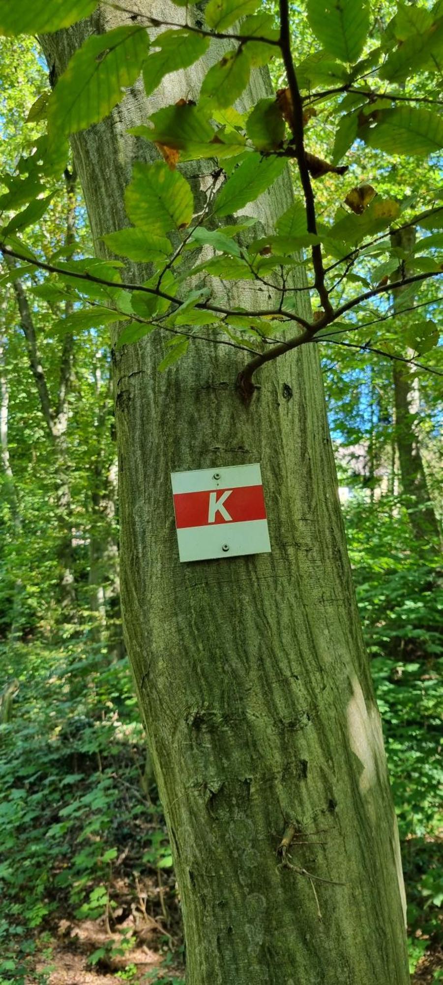 Fewo Zur Alten Tischlerei Herzberg am Harz Bagian luar foto