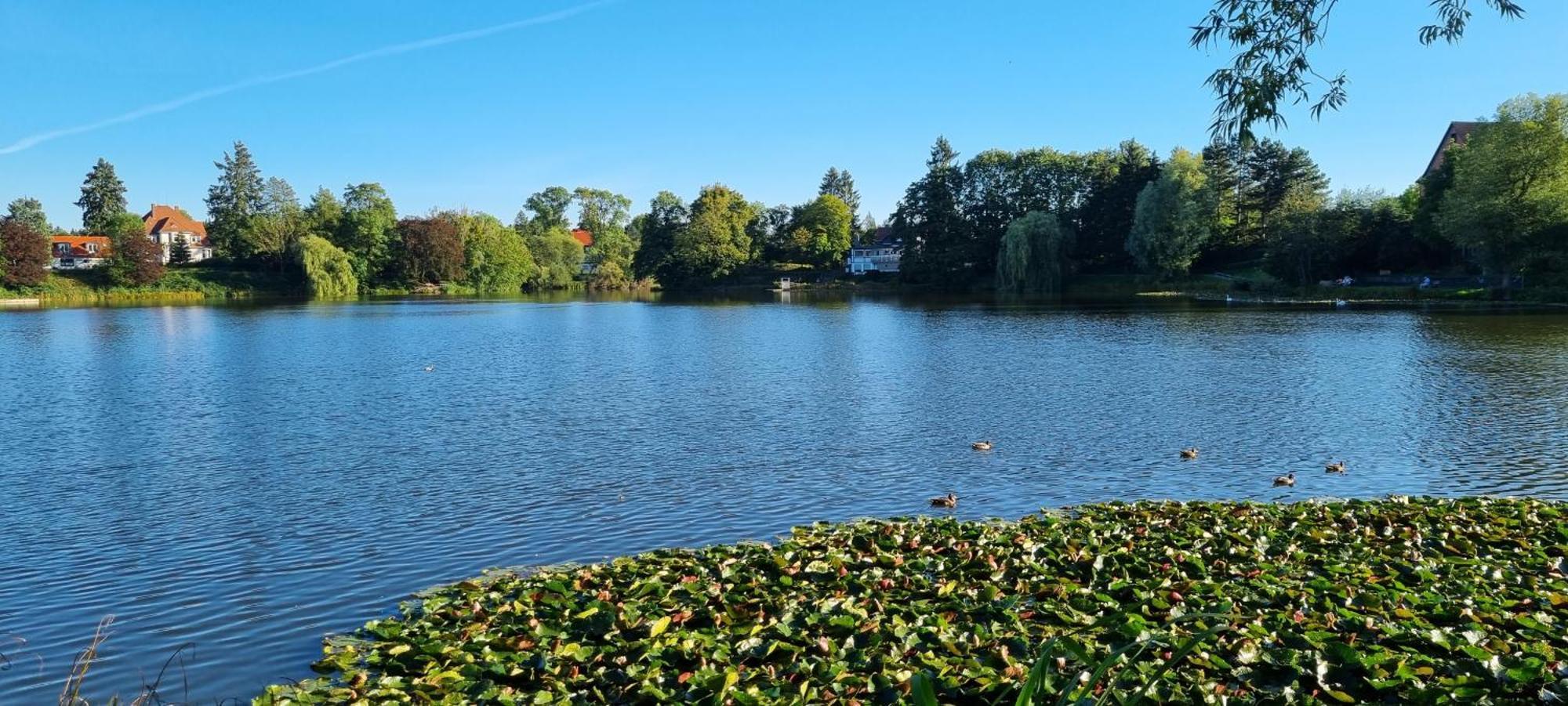 Fewo Zur Alten Tischlerei Herzberg am Harz Bagian luar foto