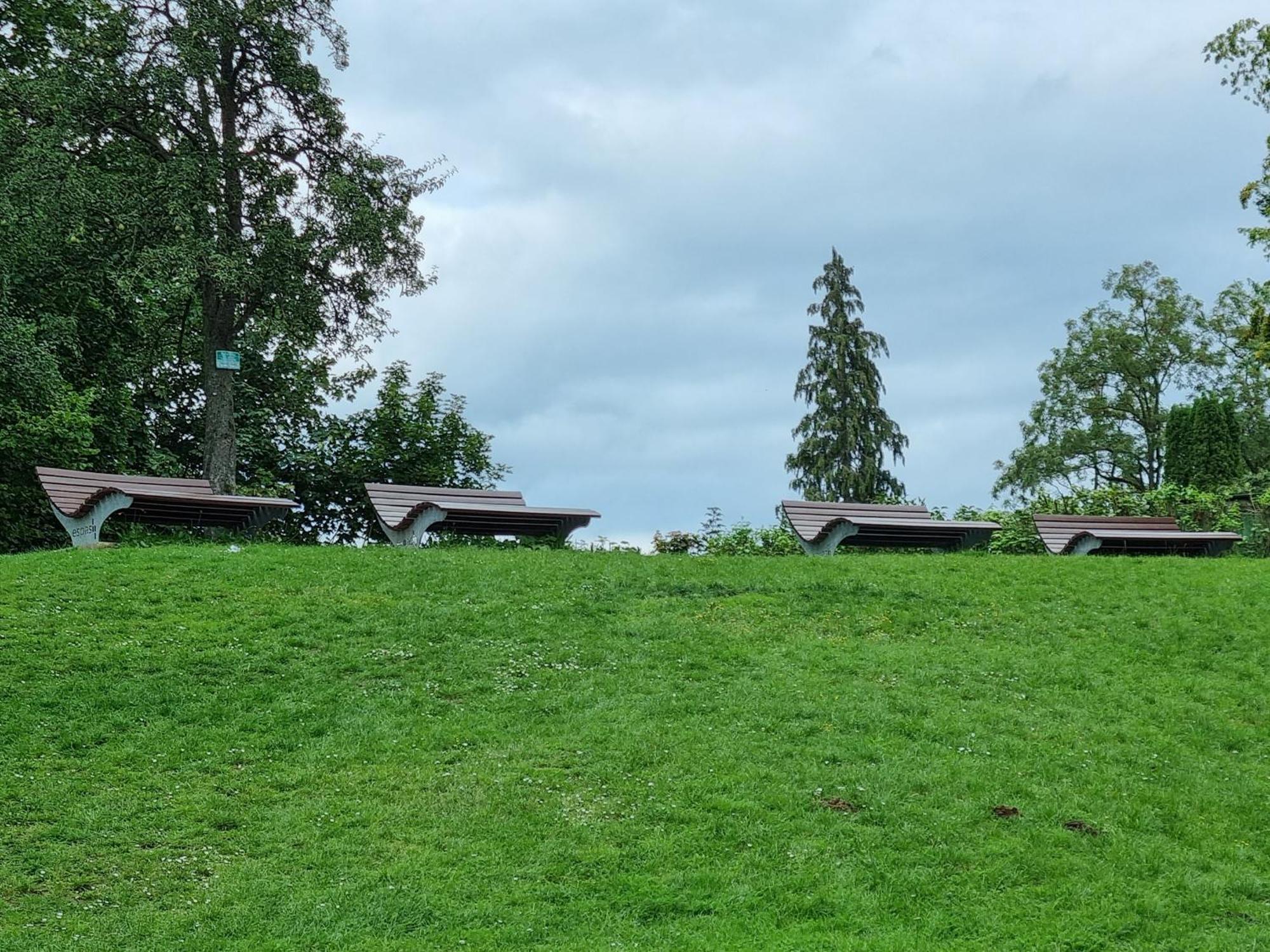 Fewo Zur Alten Tischlerei Herzberg am Harz Bagian luar foto